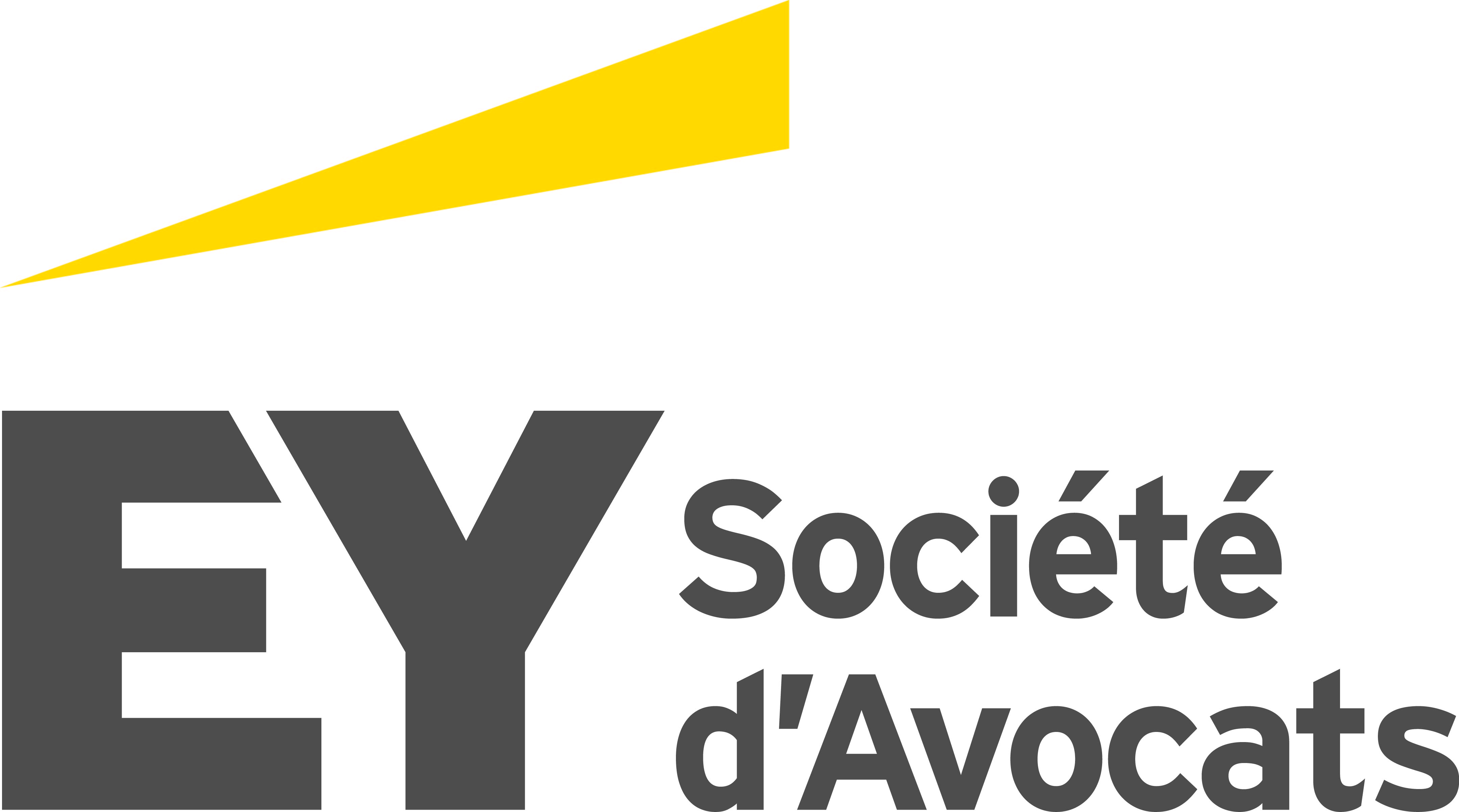 Ernst And Young Société D'avocat : Conférence Sur La Nouvelle Loi 