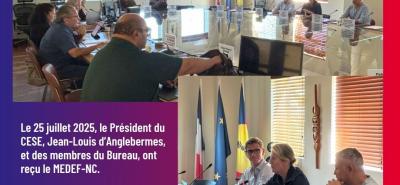 Accueil du MEDEF-NC au CESE-NC et présentation des nouveaux membres du comité Directeur