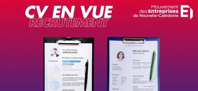 CV EN VUE