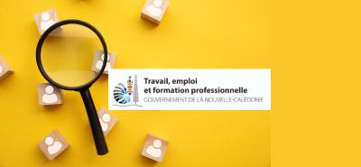 EMPLOI/FORMATION : Lancement de "l'enquête sur l'ajustement des besoins en personnel en temps de crise"