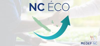 Projet NC ECO : Une mobilisation unique des acteurs économiques pour l’avenir de la Nouvelle-Calédonie !
