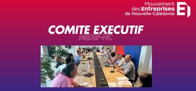 COMEX EXCEPTIONNEL MEDEF-NC DU 16/07/2025 SUR L'ACCORD DE BOUGIVAL
